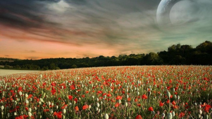 哪吒汽车正式被申请破产，因薪酬问题员工已两月没去上班，被申请破产意味着什么？员工权益还能得到保障吗？